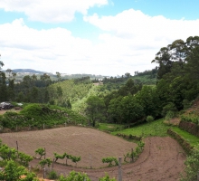 Quinta da Devesa Restaurante