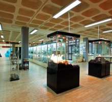 Museo de Geolog&iacute;a de U.T.A.D.