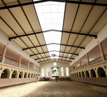 Academia Equestre Arte Lusitana